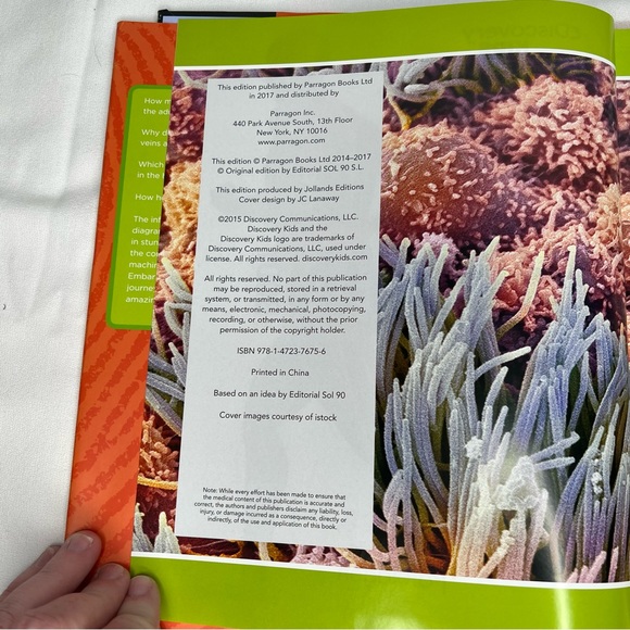 Discovery Kids Human Body See How the Body Works From Head To Toe Book Anatomy - Picture 2 of 4